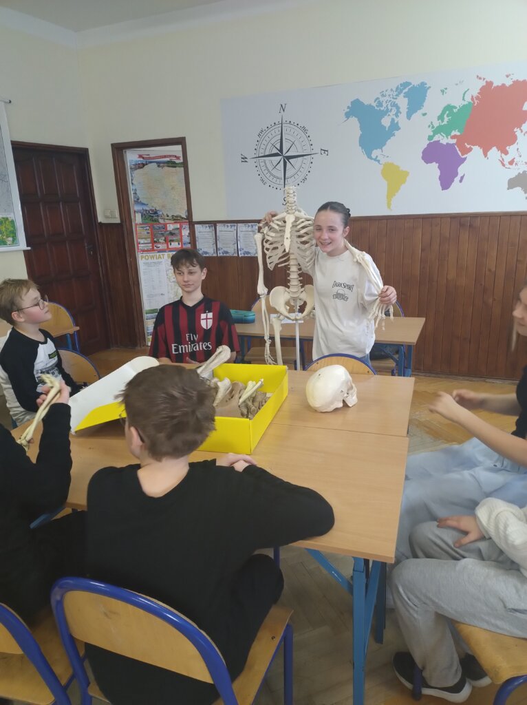 Zajęcia przyrodnicze