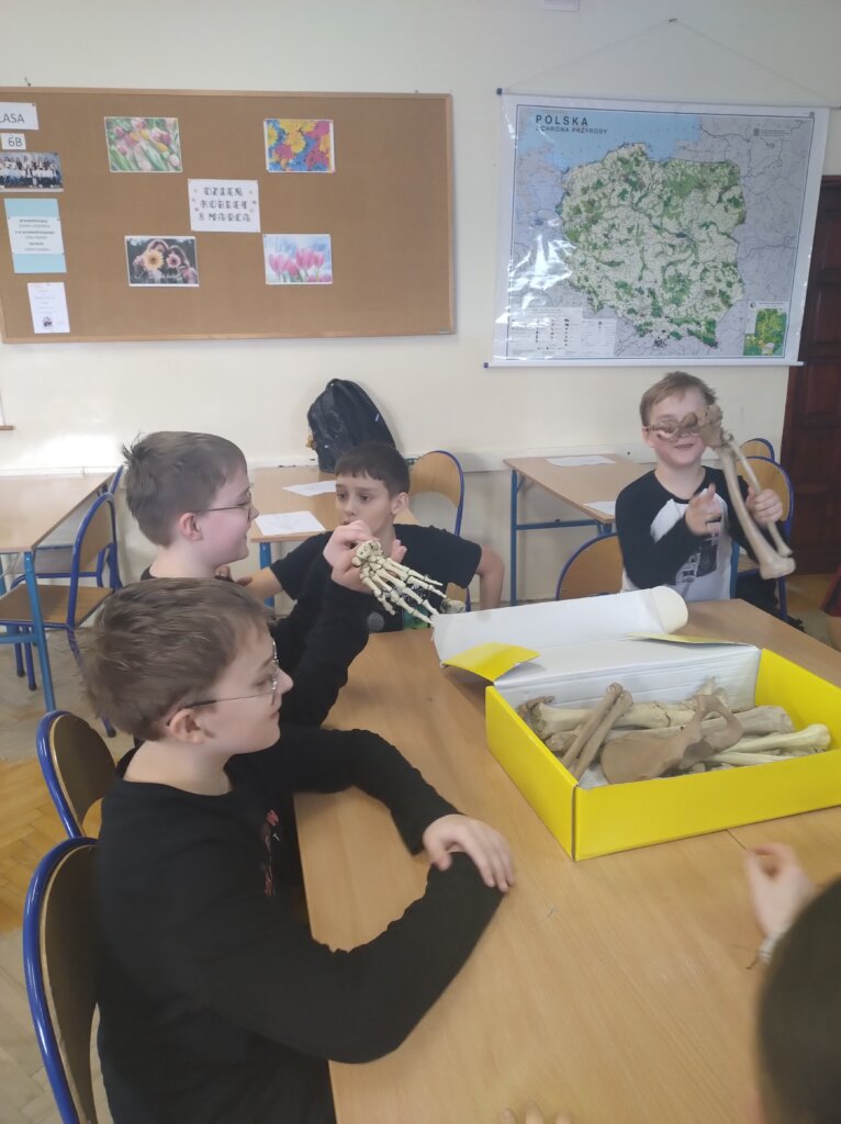 Zajęcia przyrodnicze