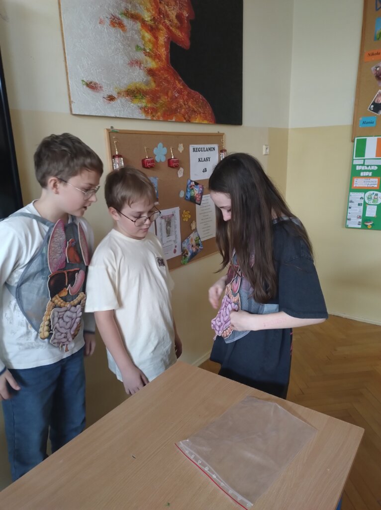 Zajęcia przyrodnicze