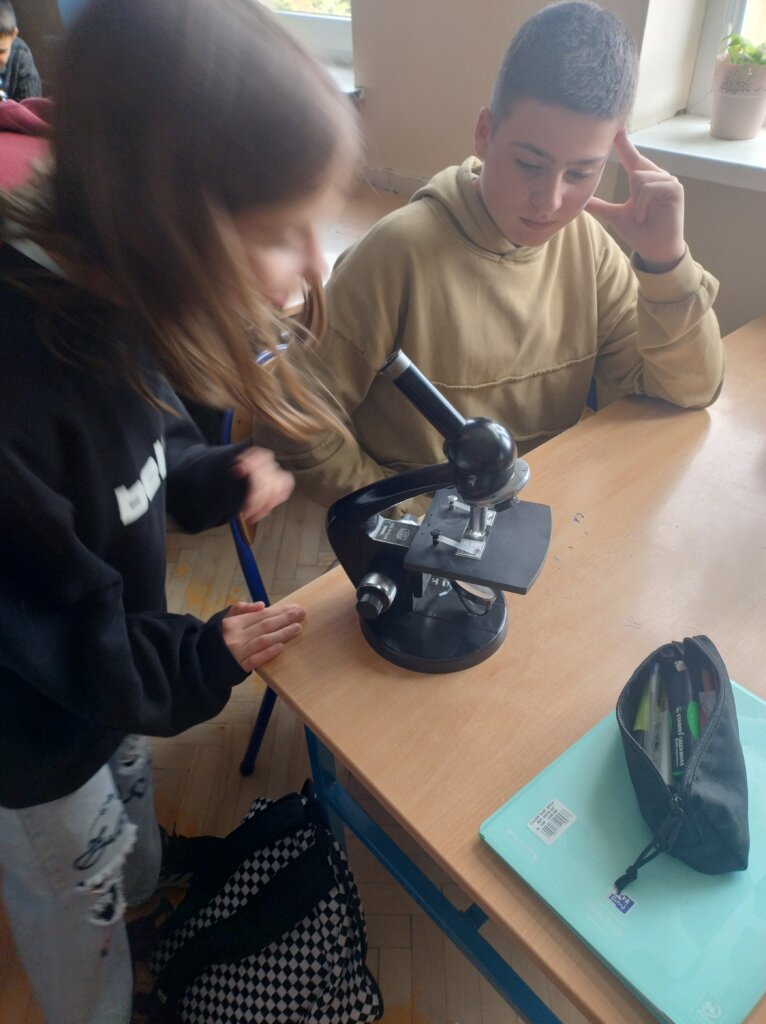 Zajęcia przyrodnicze