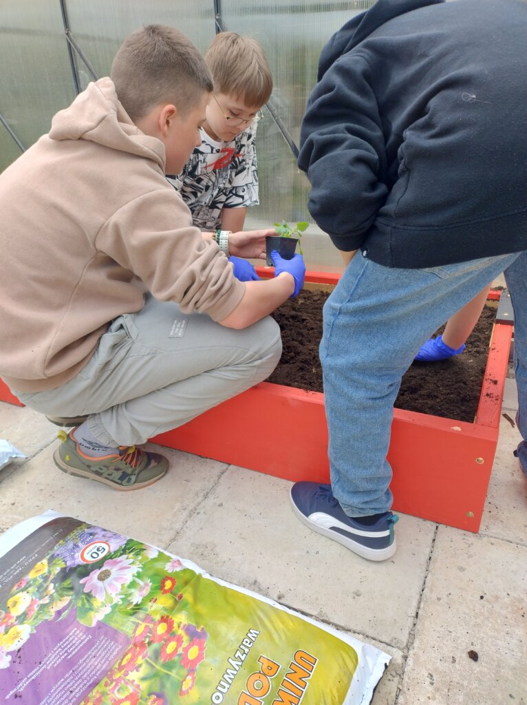 Zajęcia przyrodnicze