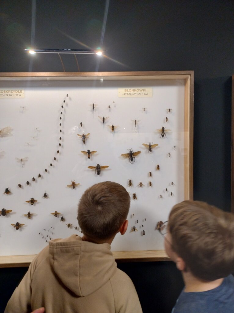 Zajęcia przyrodnicze