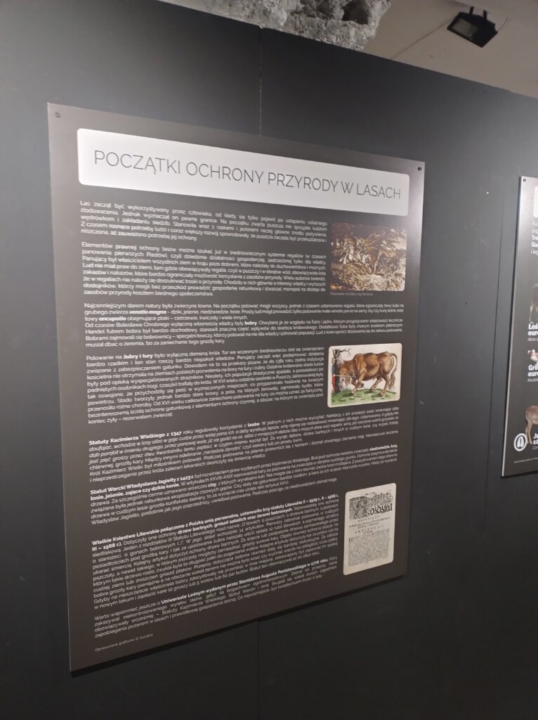 Zajęcia przyrodnicze